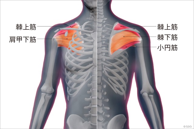 四十肩 五十肩の改善と予防について 背骨コンディショニング墨田教室